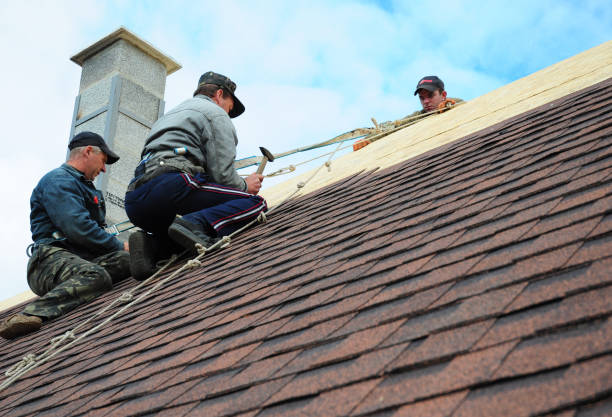 Best Metal Roofing Contractor  in Hamilton, OH